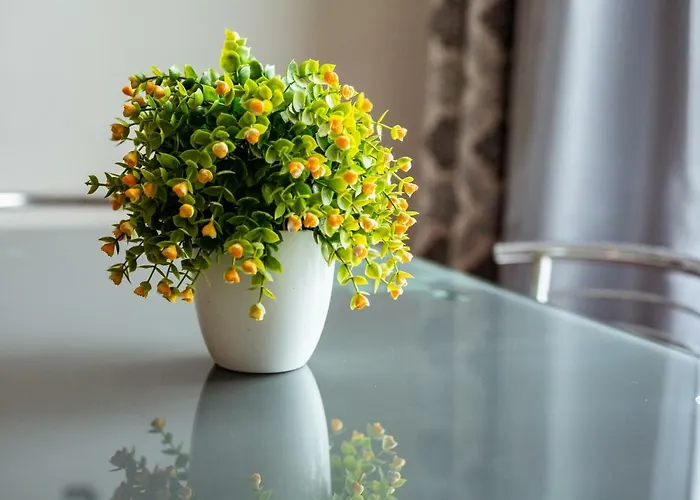 Bv Exquisite * リヴィウ